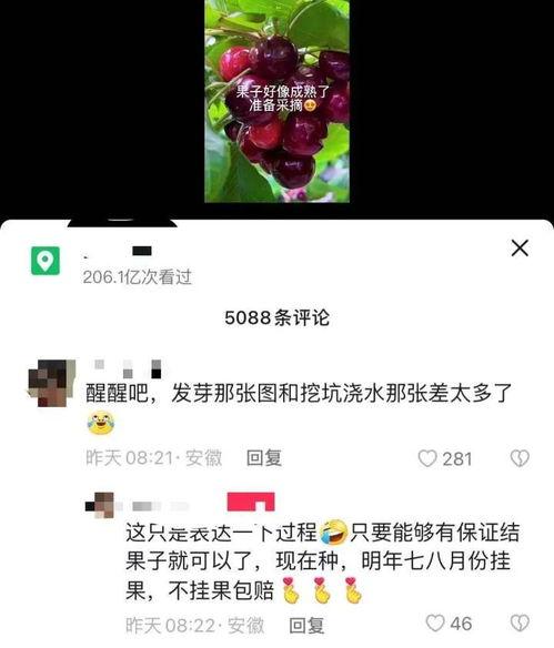 视频结尾有爆料点怎么弄,结尾惊爆点，揭秘幕后真相！  第2张